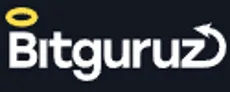 Bitguruz Logo Footer